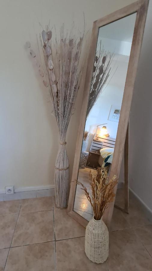 Le Cocon De Madana Apartment แซ็ง-โฌเซฟ ภายนอก รูปภาพ
