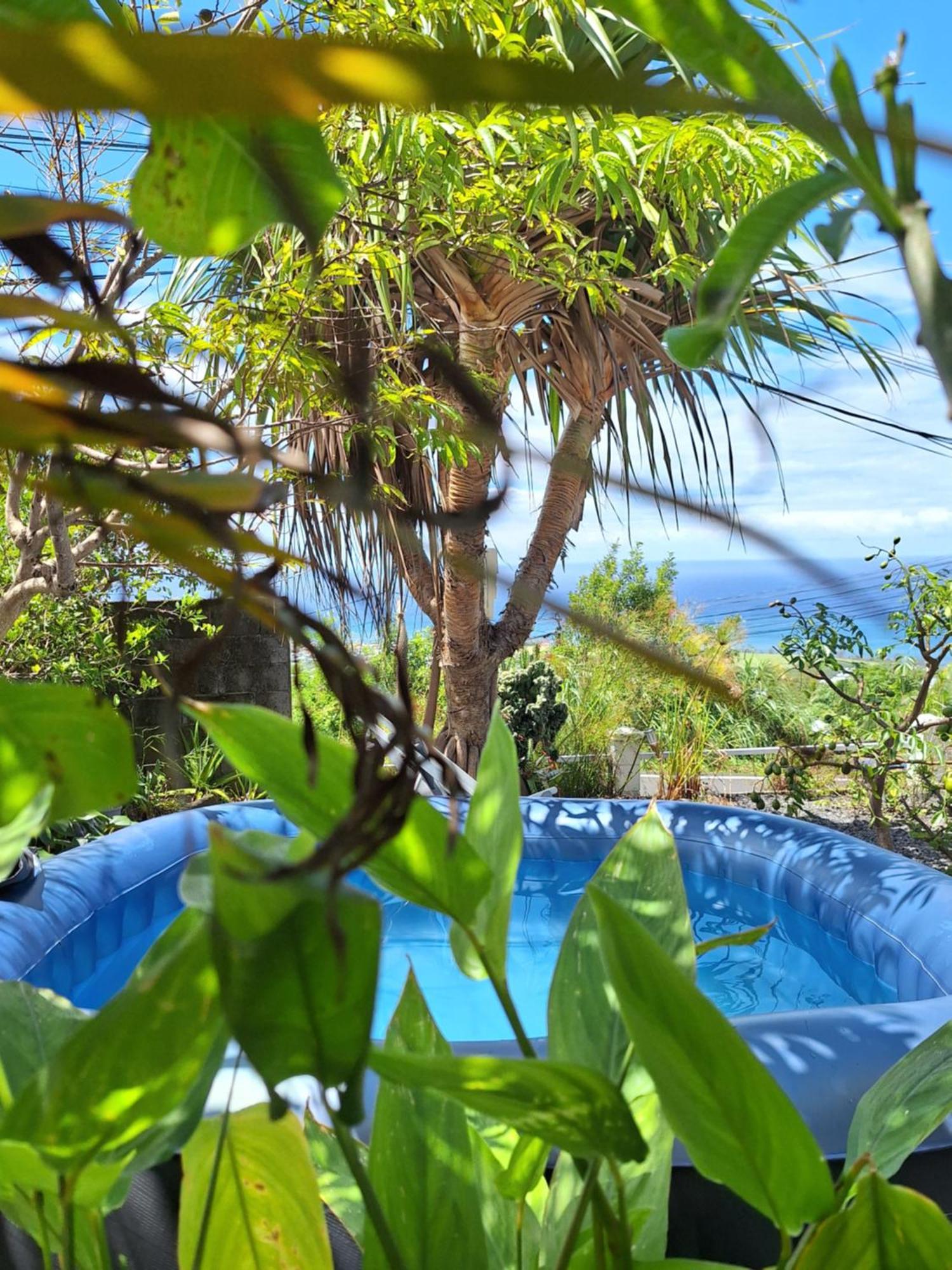 Le Cocon De Madana Apartment แซ็ง-โฌเซฟ ภายนอก รูปภาพ
