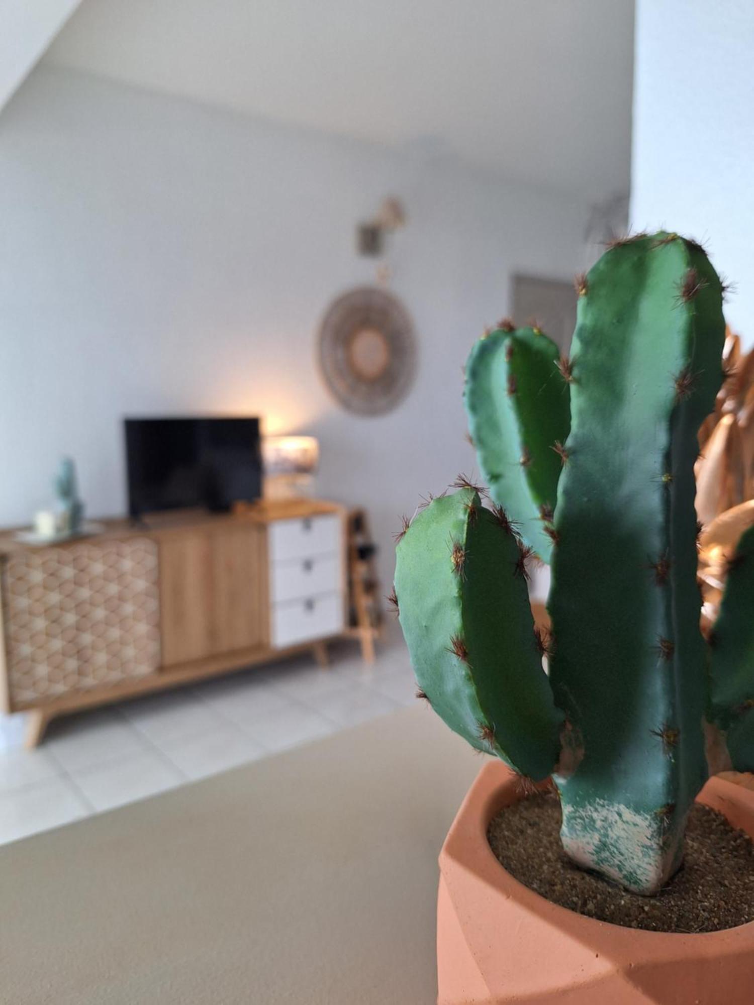 Le Cocon De Madana Apartment แซ็ง-โฌเซฟ ภายนอก รูปภาพ
