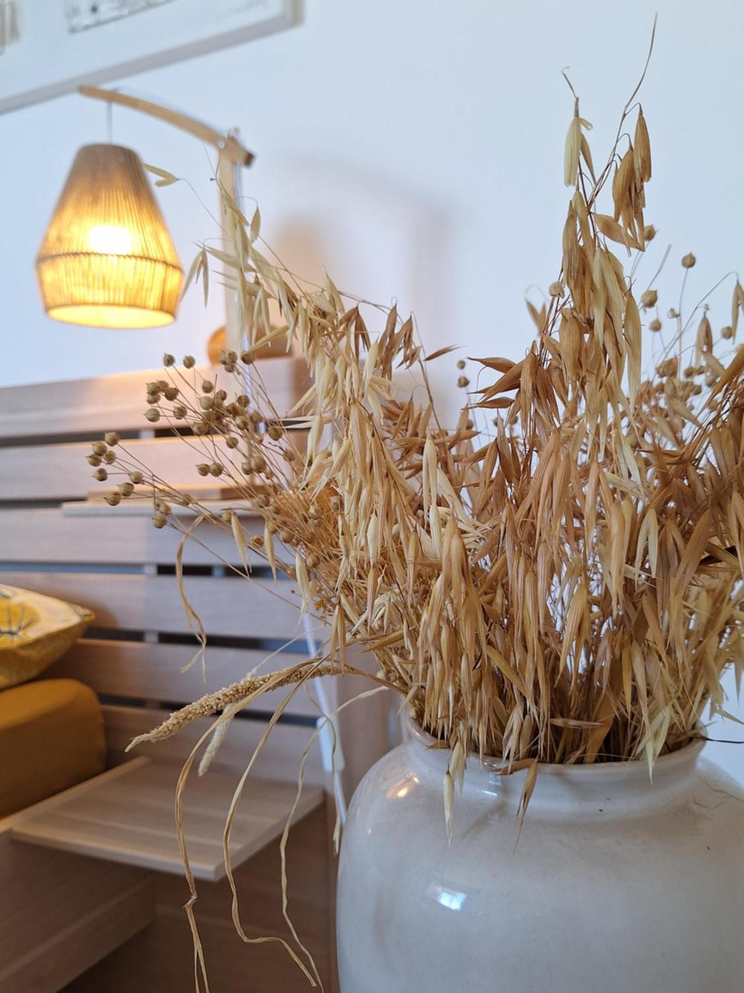 Le Cocon De Madana Apartment แซ็ง-โฌเซฟ ภายนอก รูปภาพ