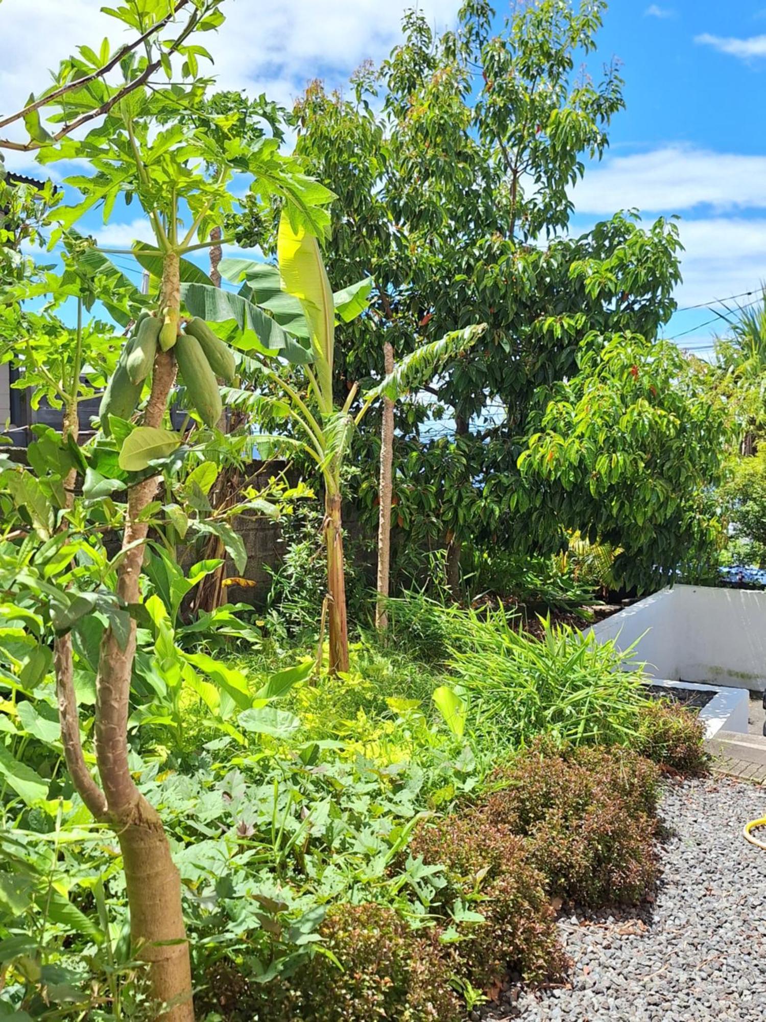 Le Cocon De Madana Apartment แซ็ง-โฌเซฟ ภายนอก รูปภาพ
