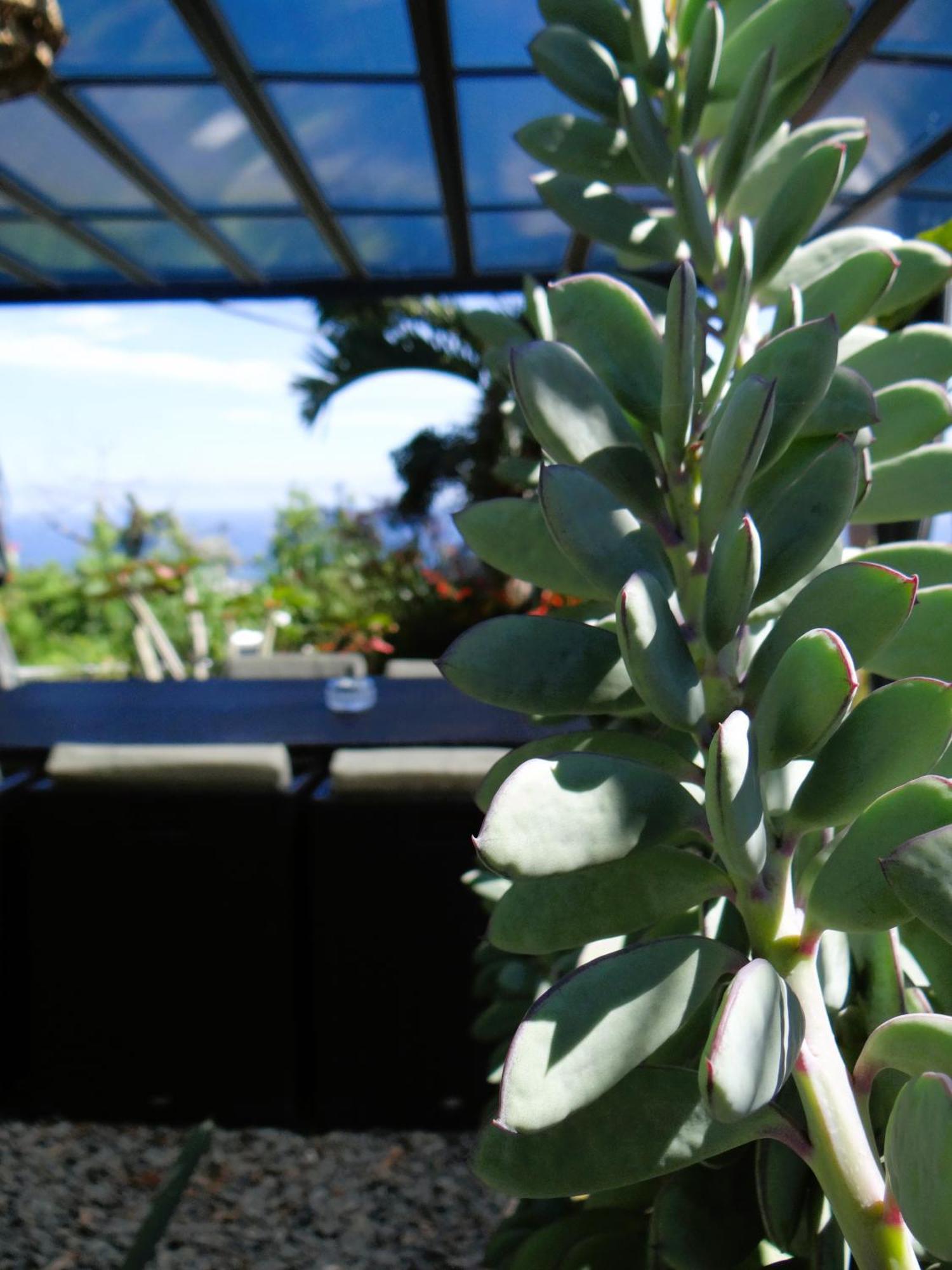 Le Cocon De Madana Apartment แซ็ง-โฌเซฟ ภายนอก รูปภาพ