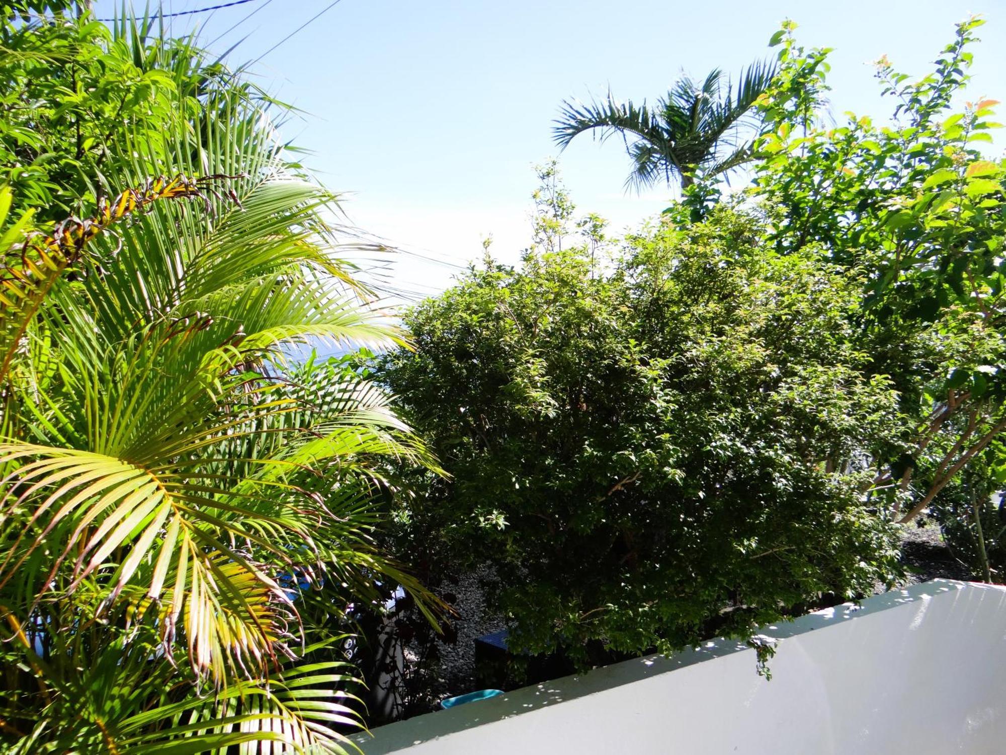 Le Cocon De Madana Apartment แซ็ง-โฌเซฟ ภายนอก รูปภาพ