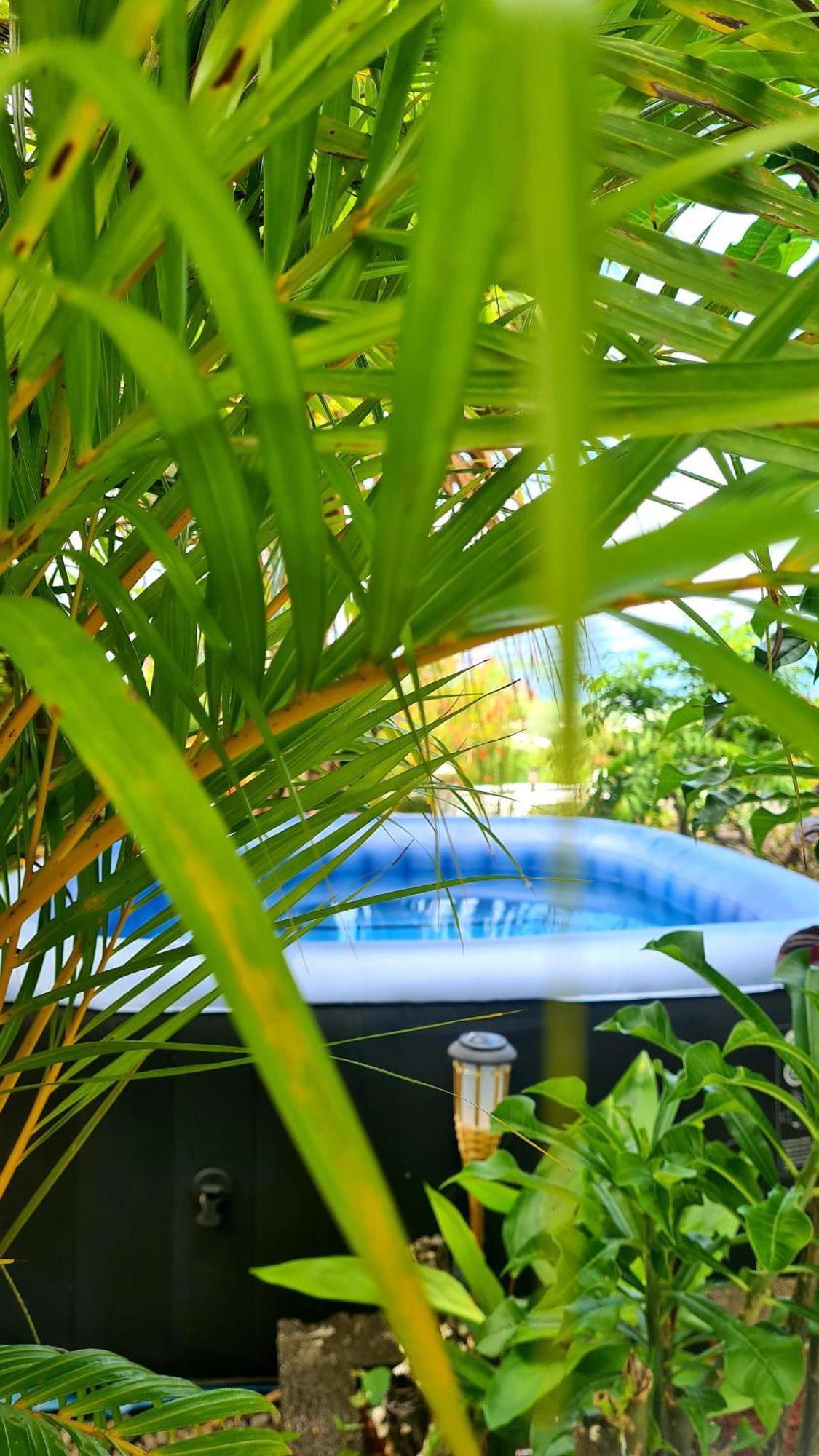 Le Cocon De Madana Apartment แซ็ง-โฌเซฟ ภายนอก รูปภาพ