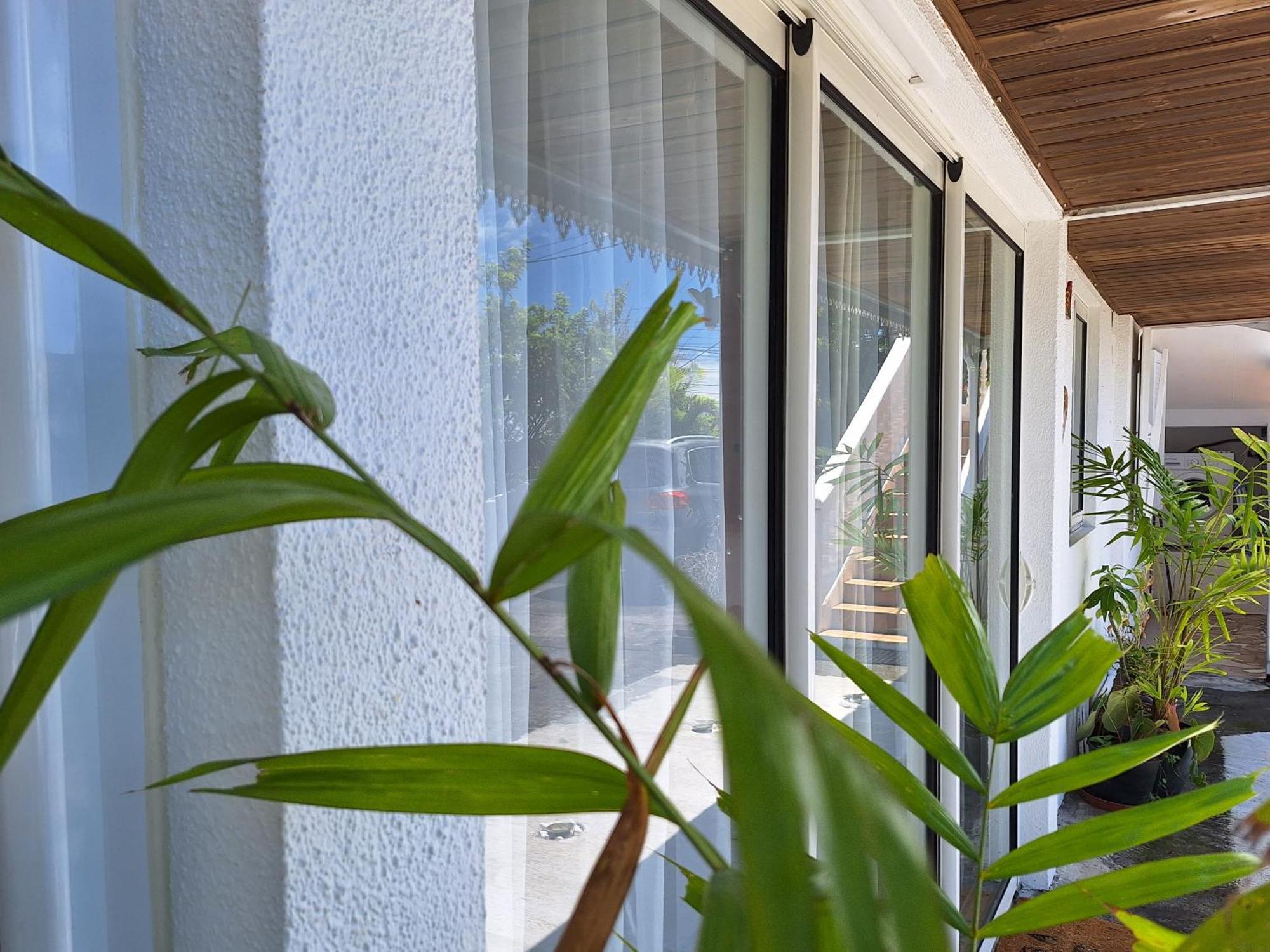 Le Cocon De Madana Apartment แซ็ง-โฌเซฟ ภายนอก รูปภาพ